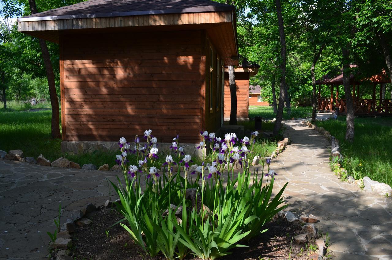 Guest House Dilidjan Kamieńsk Szachtyński Zewnętrze zdjęcie